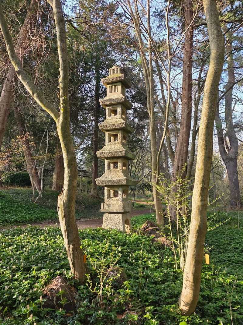 Accessibility Considerations Worth Knowing Before You Go