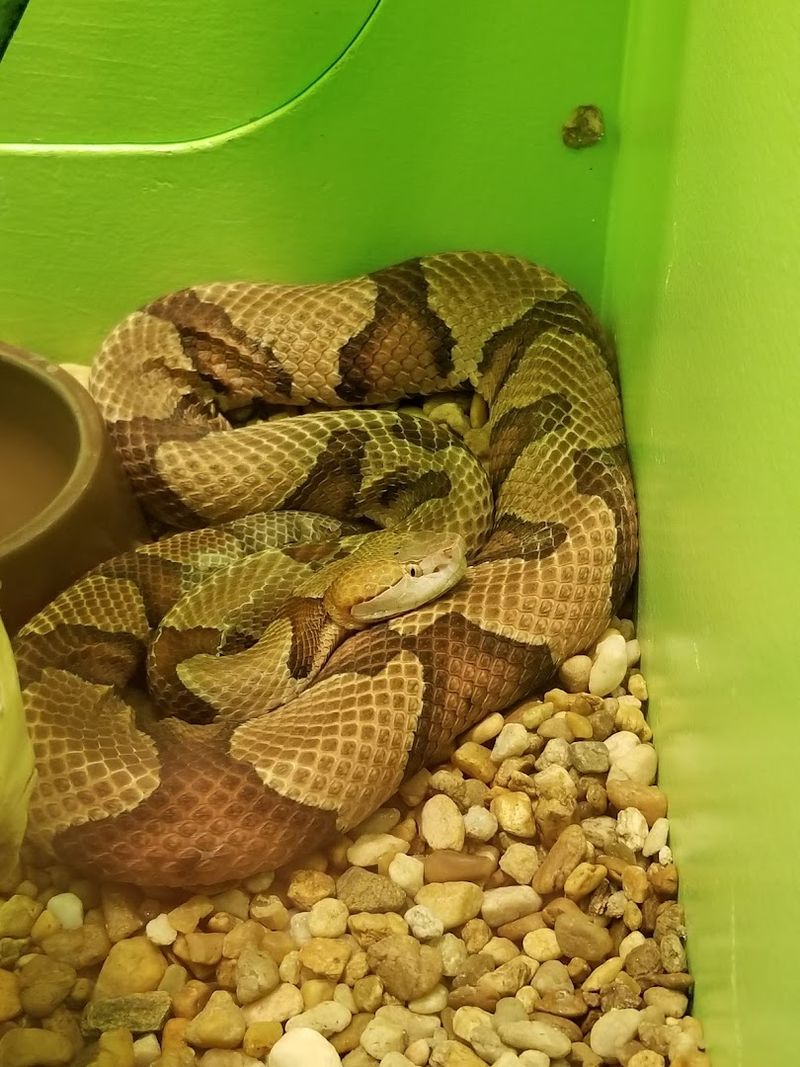 A Quirky Florida Gem That Has Earned Its Place on the Map