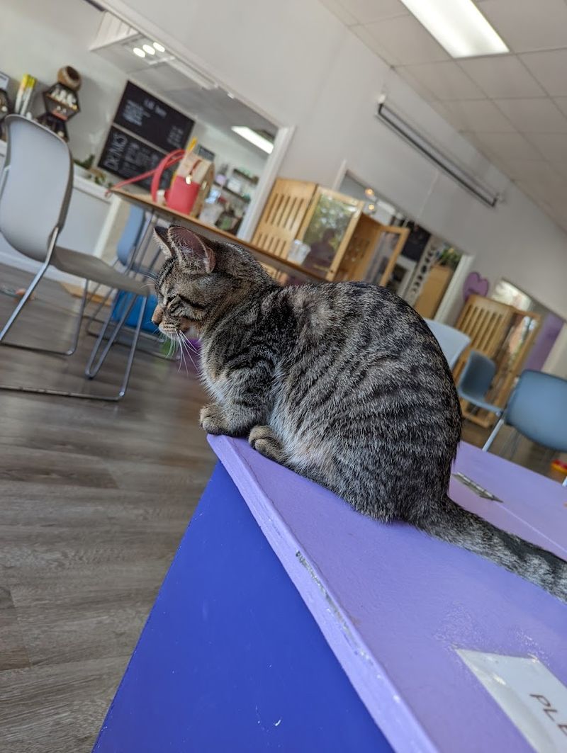 Why This Place Has Built Such a Loyal Following