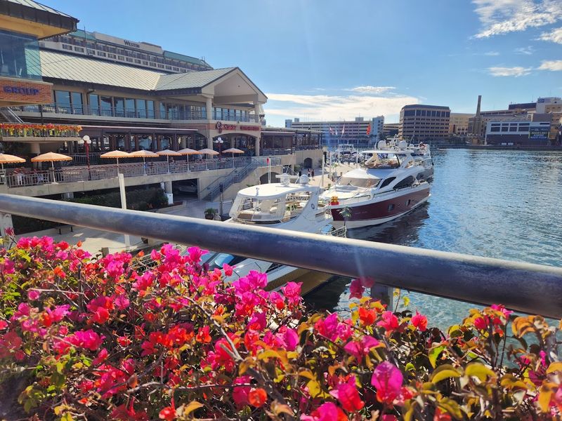 Why Jackson's Keeps People Coming Back