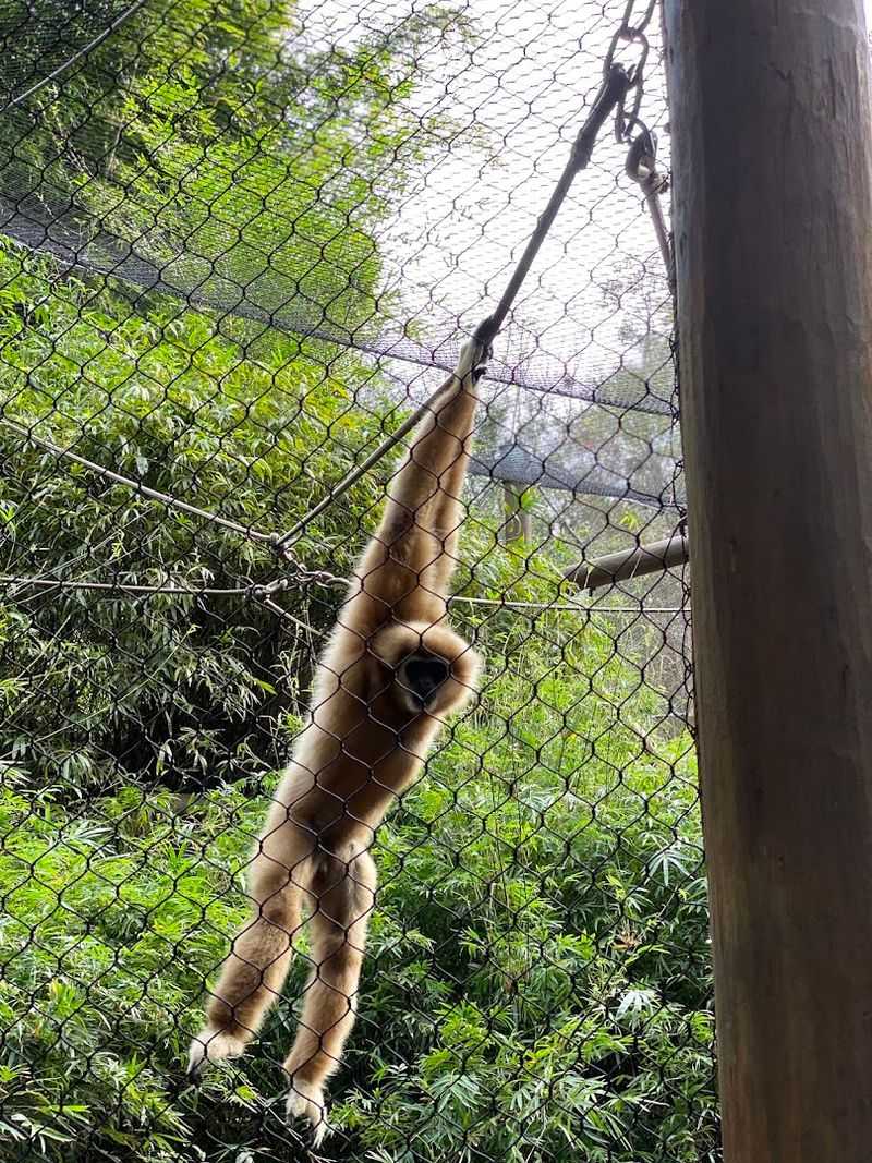 Annual Events That Draw the Community In