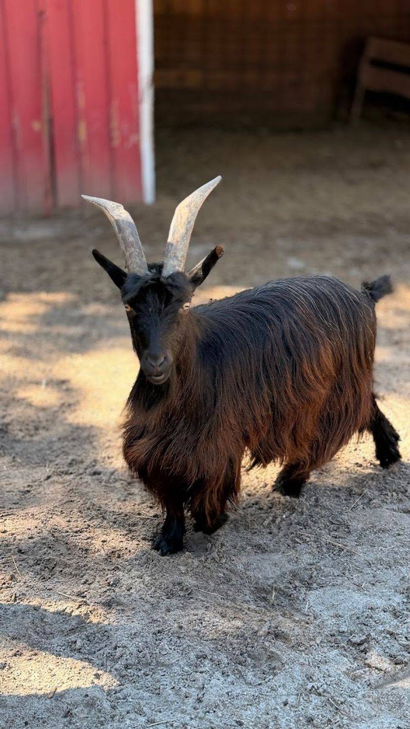 Why This Farm Deserves a Spot on Your Florida Bucket List