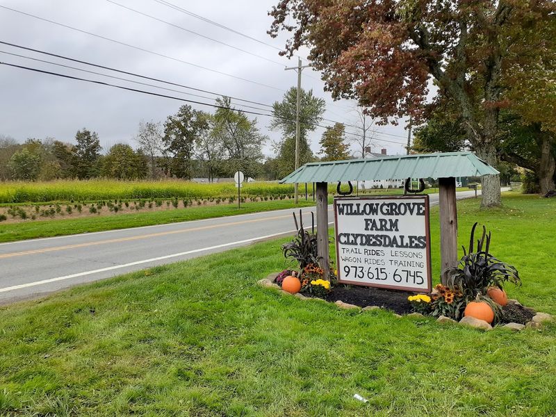 A Place Worth Coming Back To