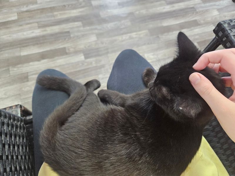 Why This Café Deserves More Than a One-Time Visit