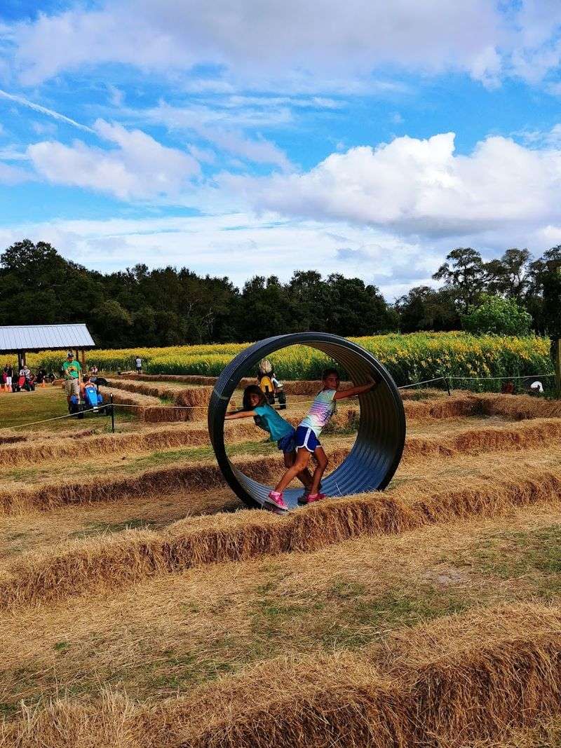 Why Repeat Visitors Keep Coming Back Season After Season