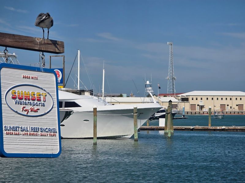 What the Marina Views Add to the Meal