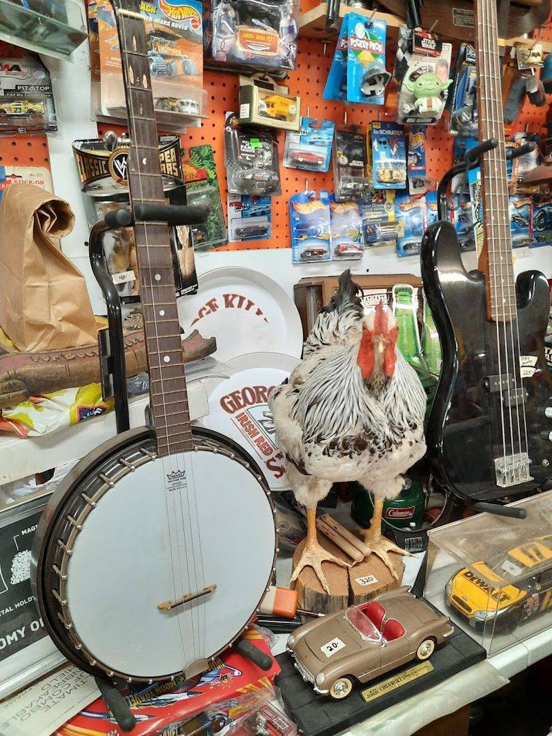 The Picking Vibe That Keeps Collectors Hooked