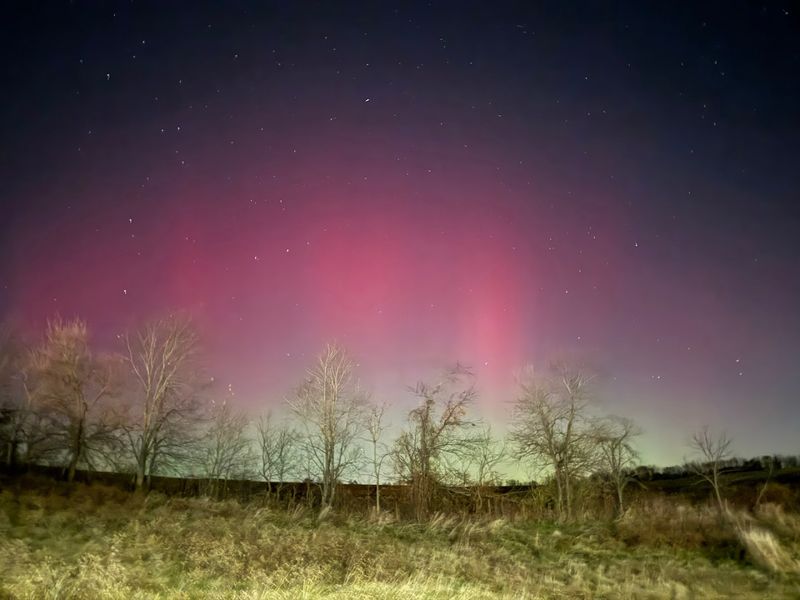 Amish Buggy Rides: The Slowest and Best Way to See the Area