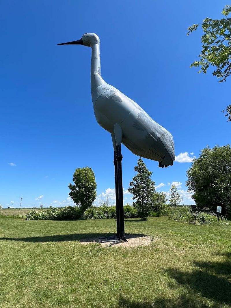 World's Largest Sandhill Crane — Steele