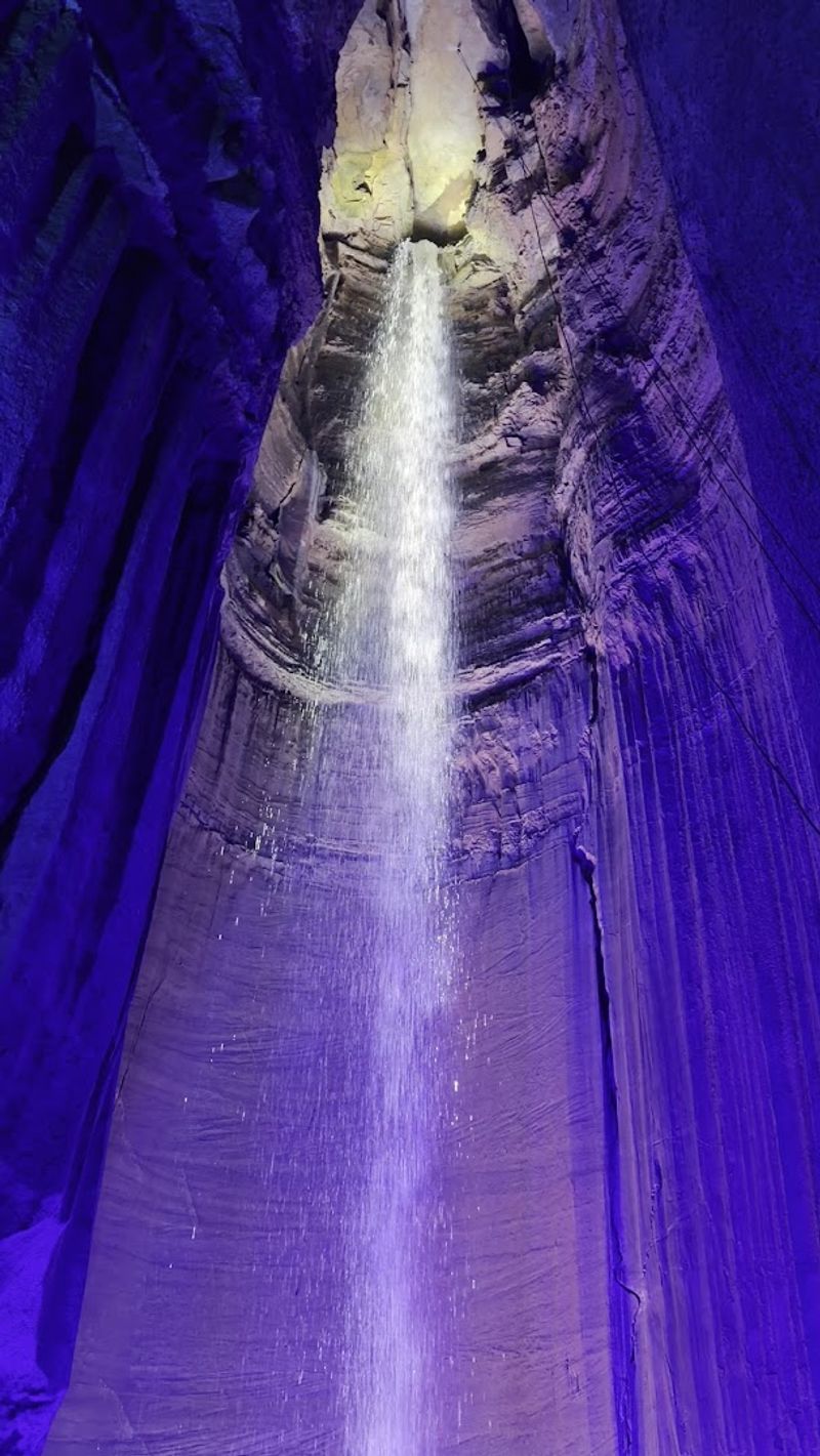 Family-Friendly From the Start: Who Should Visit