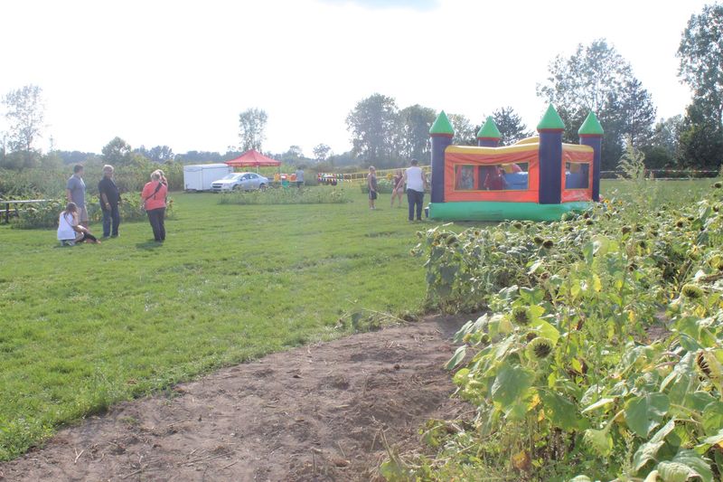 Kids' Activities That Keep the Whole Family Happy