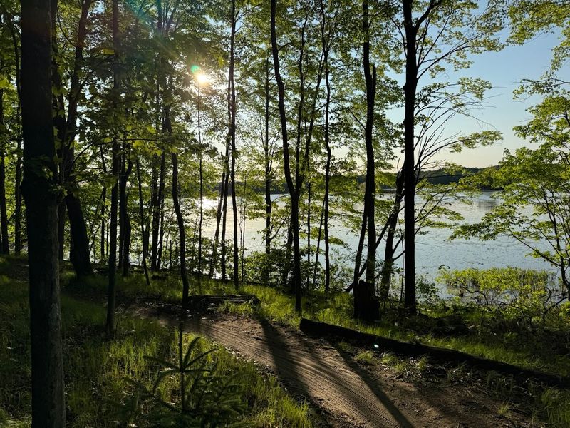 The Natural World Around You: Ecosystems and Scenery