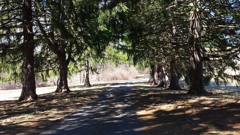 Trail Markings And Navigation Tips