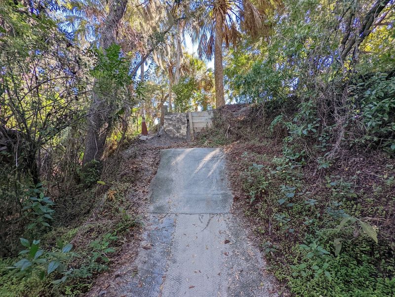 The Florida Setting: Scrubland, Trees, and Trail Vibes