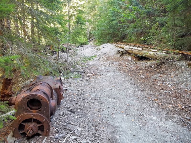 Best Times to Visit and Crowd Patterns