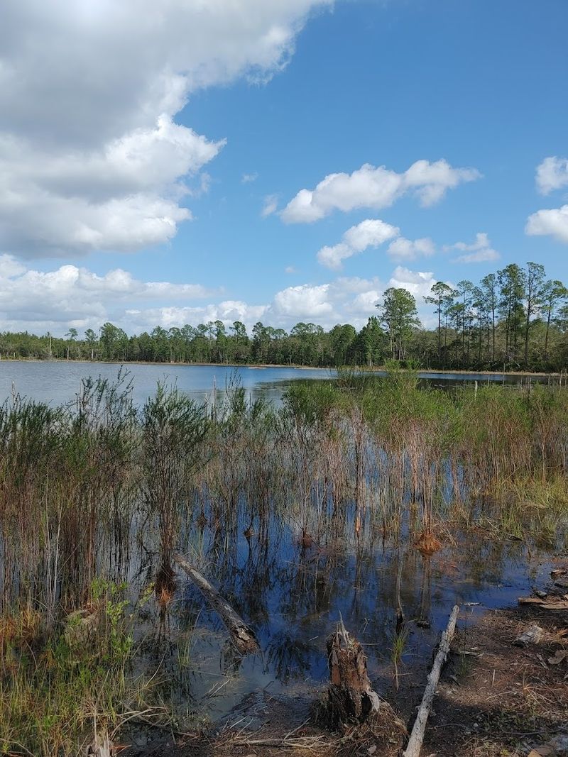 Why This Trailhead Deserves a Spot on Your List