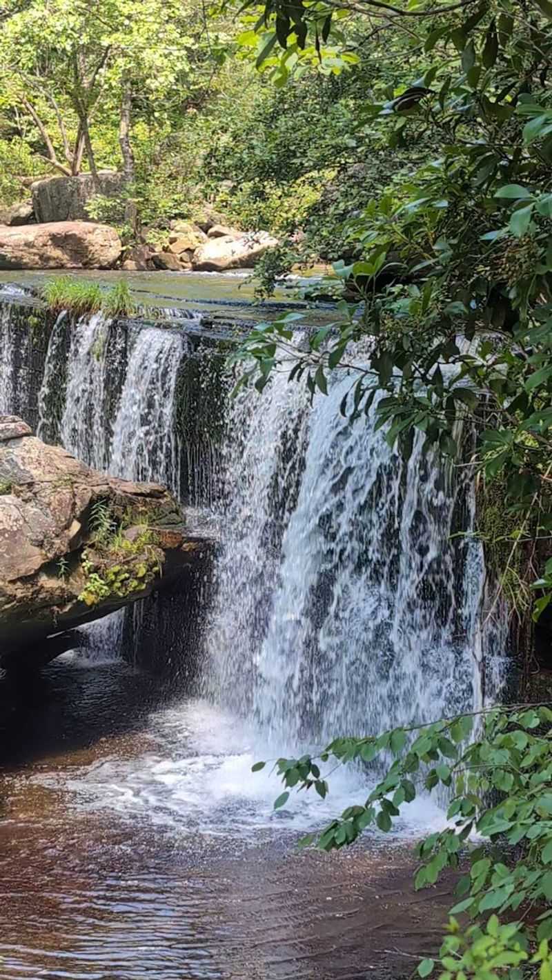 Blue Hole Falls and the Broader Trail Network