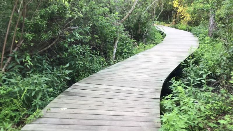Accessibility and Who the Trail Works Best For