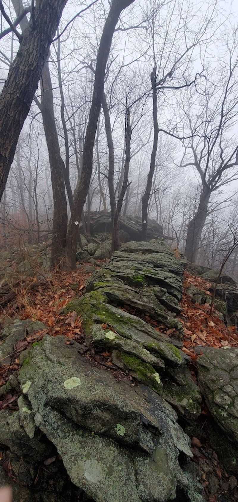 The Rock Formations Along the Ridge