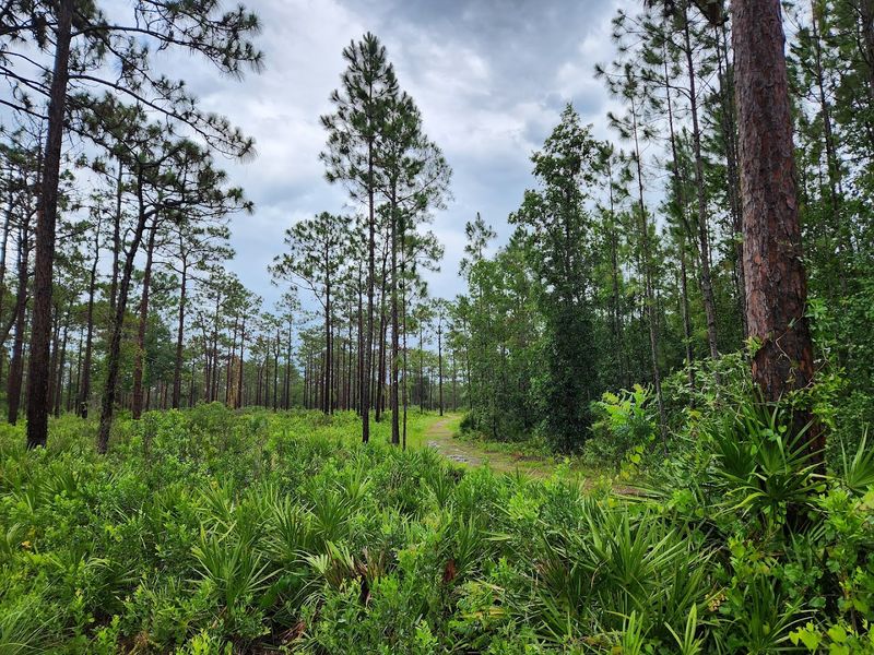 Sun, Shade, and the Importance of Bringing Water