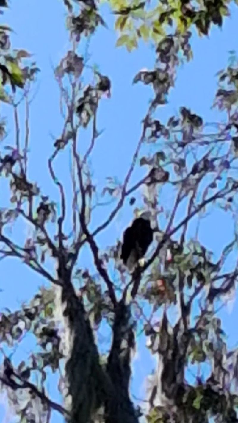 Wildlife Encounters You Will Not Forget