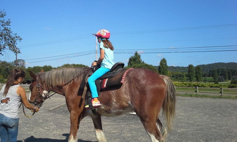 Riding Lessons for Every Skill Level