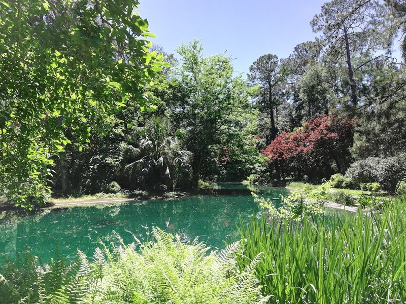 Wildlife You Might Encounter