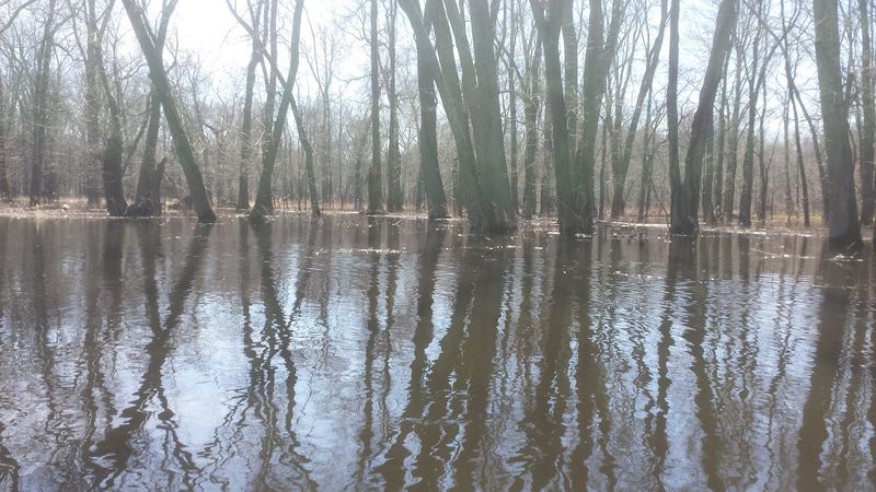 What The Flooding Actually Means For Visitors