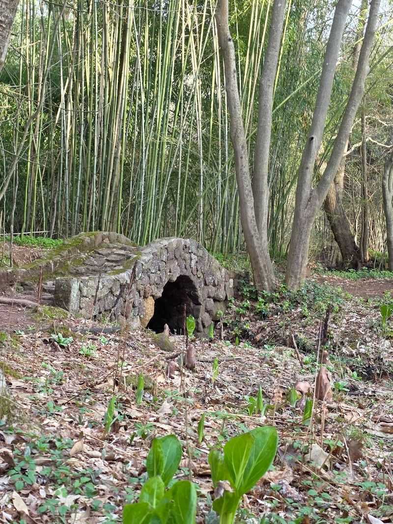 The Japanese Footbridge and Hidden Art Along the Way