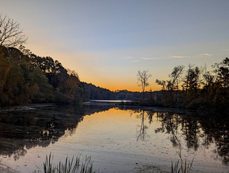 Wildlife That Shows Up When You Least Expect It