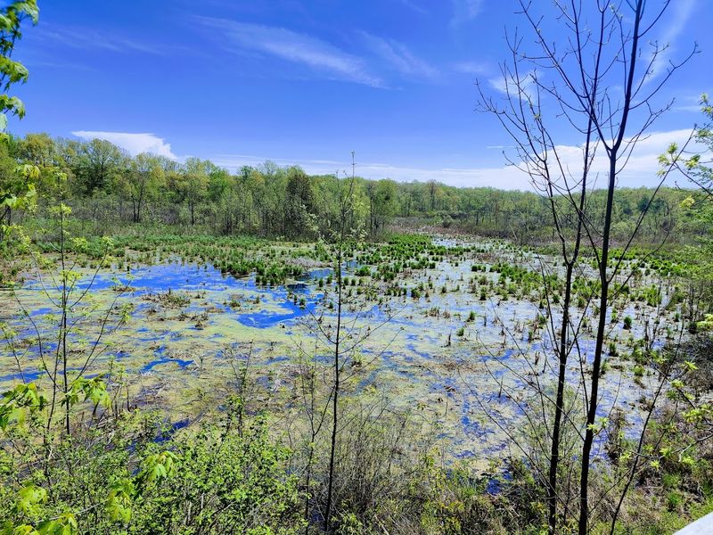 Wildlife Encounters That Catch You Off Guard in the Best Way