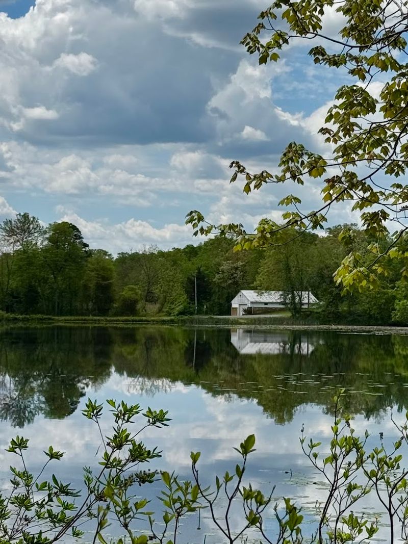 What the Wildlife Scene Actually Looks Like