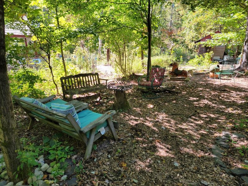 The Botanical Garden Hidden in the Woods