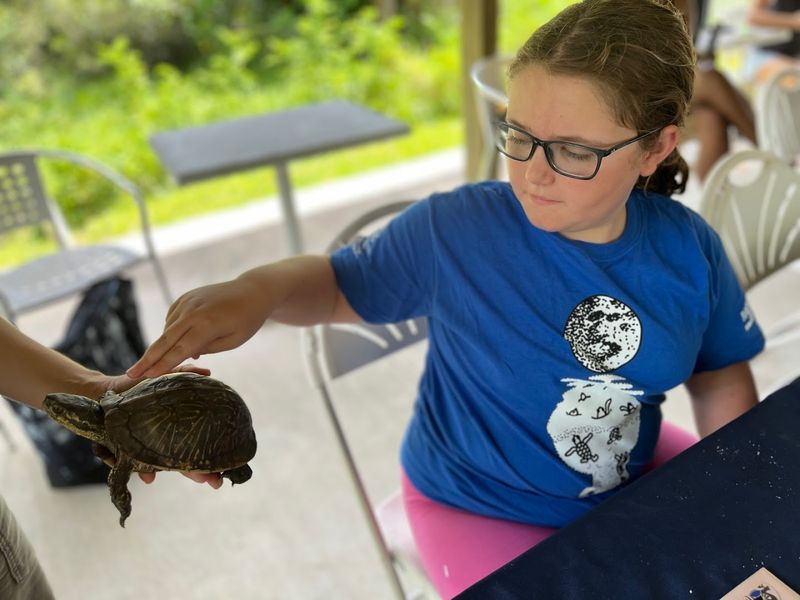 Reptiles and Non-Traditional Patients