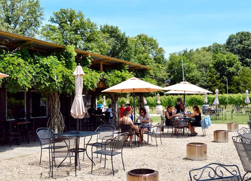 Auburn Road Vineyards - Pilesgrove, New Jersey