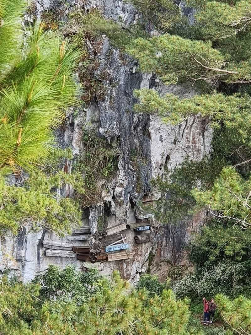 See Hanging Coffins in Sagada