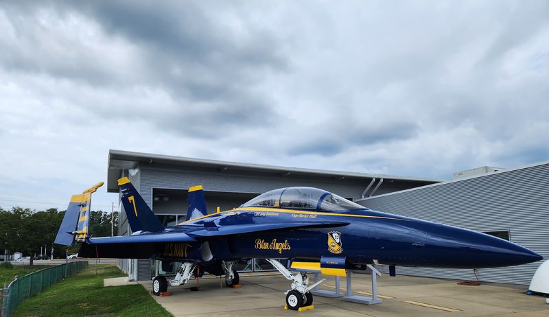 Blue Angels, Hornets, and the Aircraft You Recognize