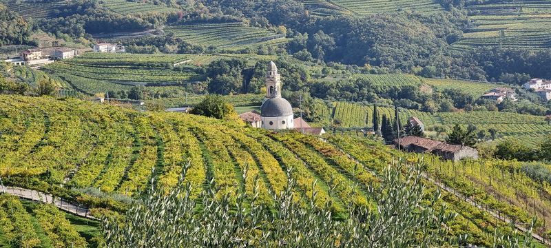 Valpolicella (Italy)