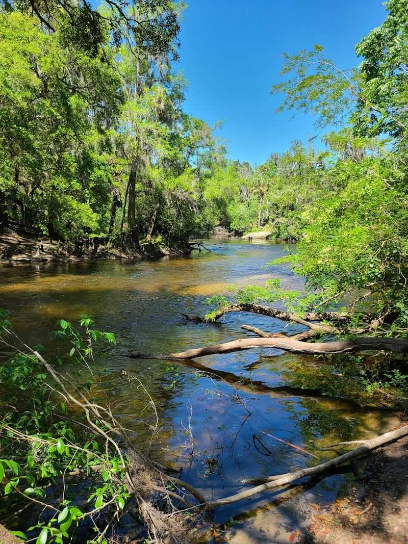 Finding Lithia: Location, Roots, and What Makes It Different