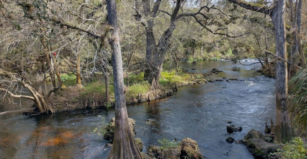 Tucked Away in Florida, This Small Town Offers Trails, Parks, and Peaceful Escapes