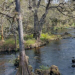 Tucked Away in Florida, This Small Town Offers Trails, Parks, and Peaceful Escapes