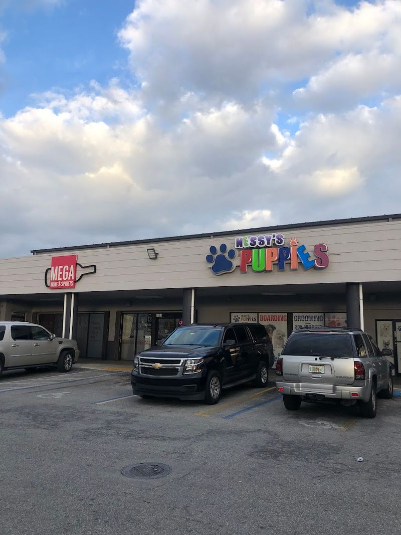 Where You Can Find This Puppy Haven