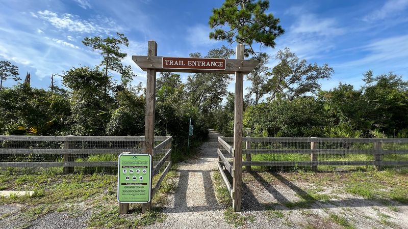 Where to Find It and What to Expect on Arrival