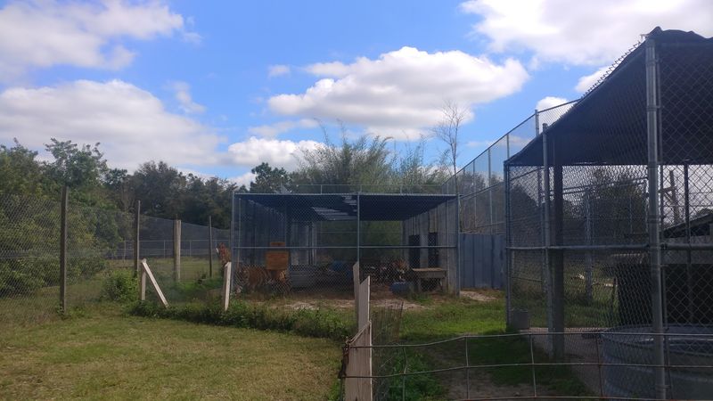 Finding the Sanctuary: Address and Location