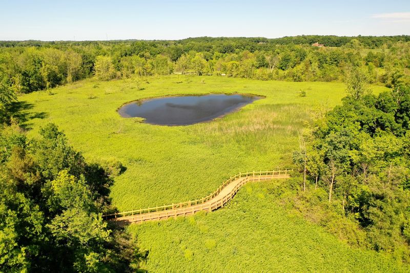 Trails That Wind Through Marsh, Prairie, and Boardwalk