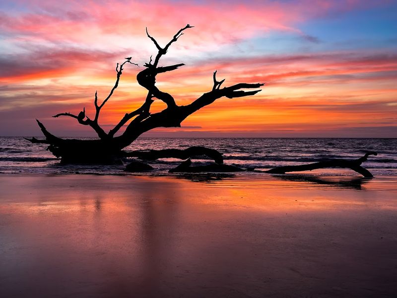 Jekyll Island, Georgia – Scenic bike trails and iconic Driftwood Beach