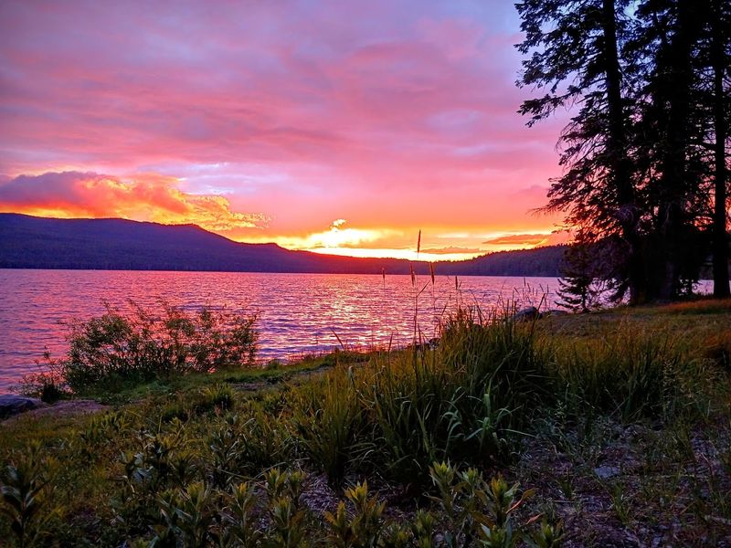 Diamond Lake Campground - Umpqua National Forest