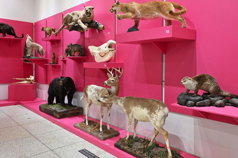 Built for Families: Kid-Friendly Features Throughout