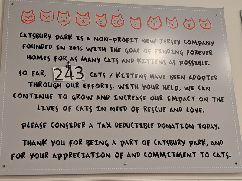 What the Donation Model Actually Means