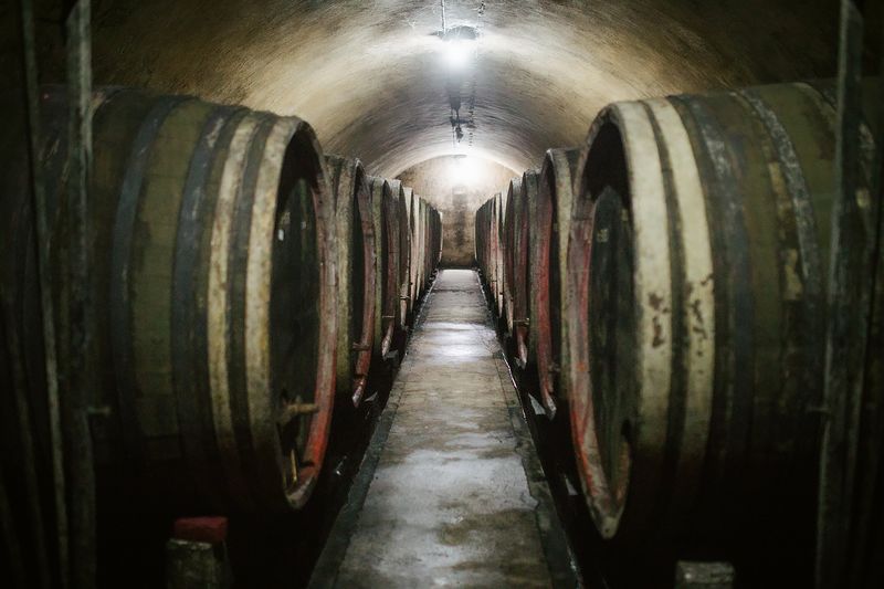 Romanian Wine Regions (Dealu Mare & Beyond)